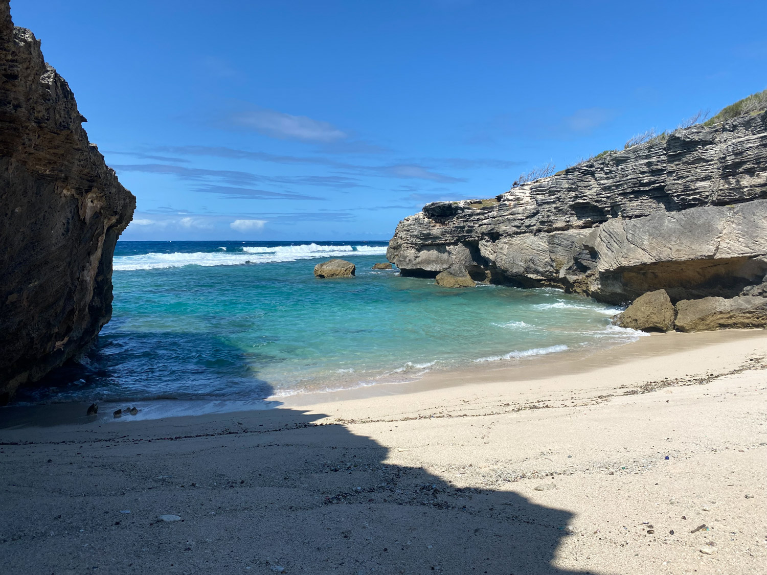 Cocoon and Joy Celine Widmer img 10