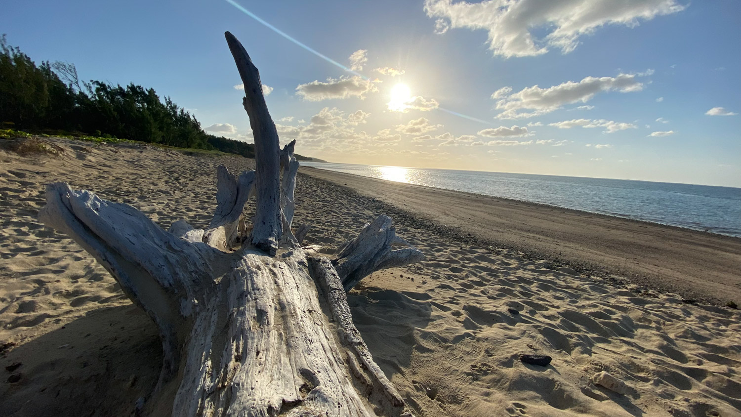 Cocoon and Joy Celine Widmer img 13