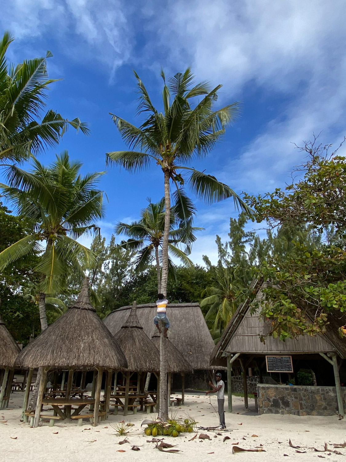 Cocoon and Joy Celine Widmer img 30