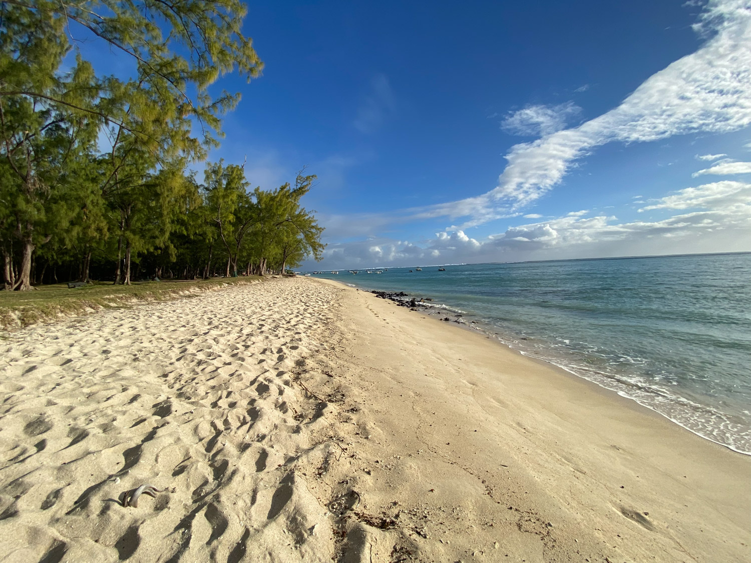 Cocoon and Joy Celine Widmer img 34