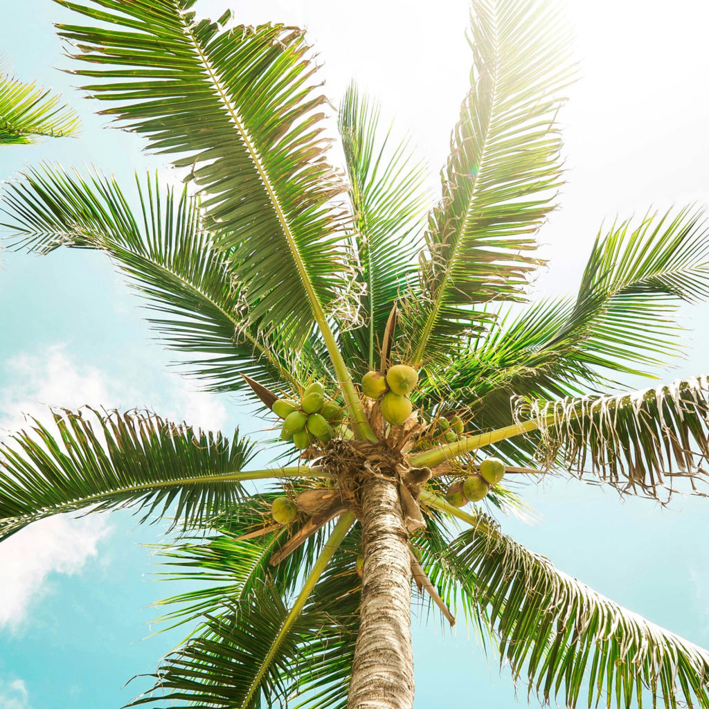 Nos univers cocooning